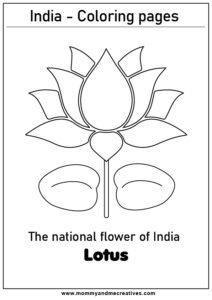 India's national flower - Lotus
