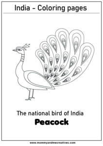 India's National bird - The Peacock