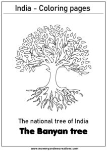 the national tree of India, the Banyan tree,