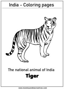 India's national animal - Bengal Tiger